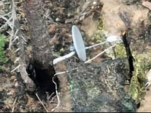 Супутникова тарілка