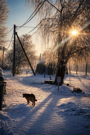 Зимовий пейзаж із фронту