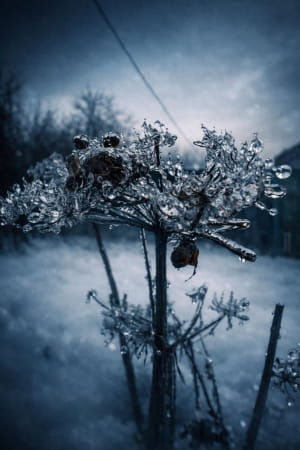 Фото з фронту