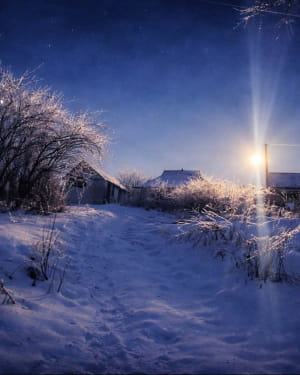 Фото з фронту