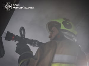 ДСНС, поїзд, пожежа