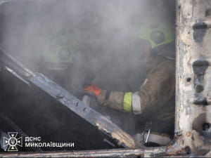 ДСНС, поїзд, пожежа