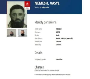 Подозреваемые