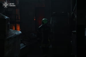 пожежа, ДСНС, вогонь