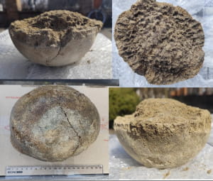 Кістки мамонта