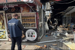 ройнування