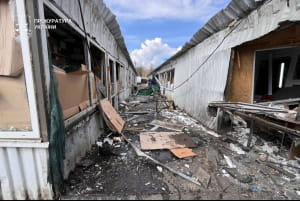 ройнування