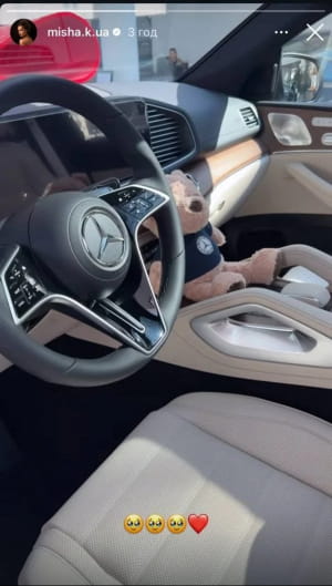 Авто Мішиної