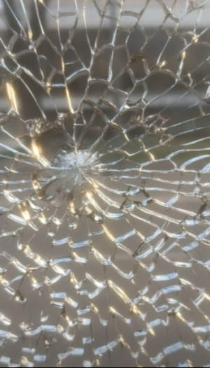 У Луцьку молода дівчина влаштовала стрілянину 