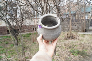 Знахідка на сільському кладовищі