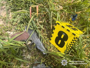 затримання