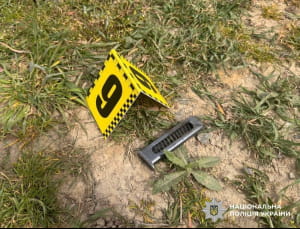 затримання