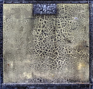 Close-up Photographer of the Year