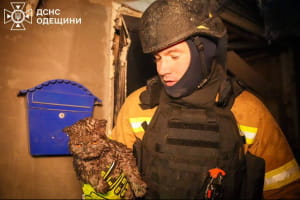 Наслідки обстрілу