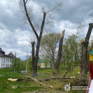 Дерева впали на дитячий майданчик