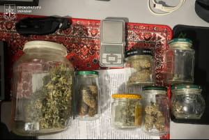 Затримання хакера