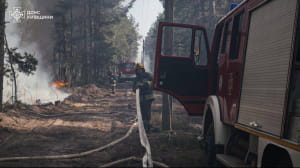 у Зоні відчуження лісова пожежа
