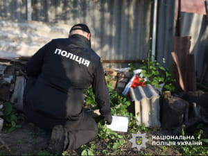обшук