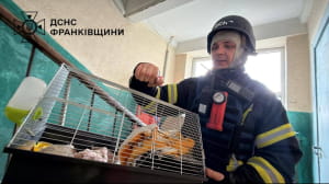 Разрушение