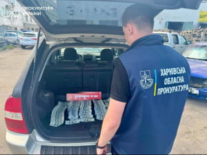 Затримання Анни Крівуц 