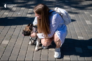 Зустріч французьких бульдогів в Одесі