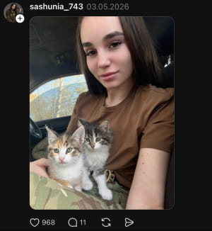 Котики