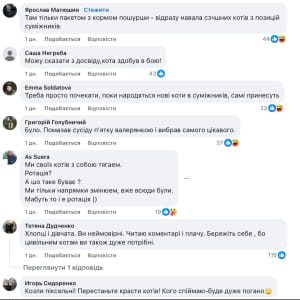 Котики
