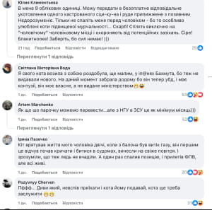 Котики