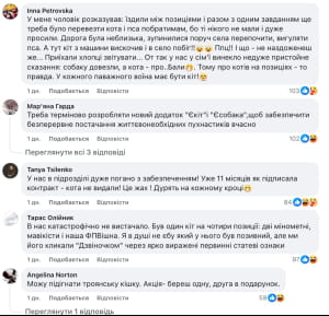 Котики