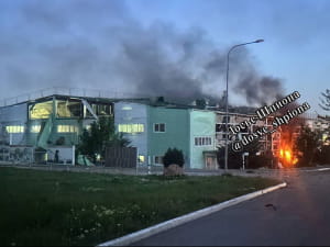 Бавовна в Криму
