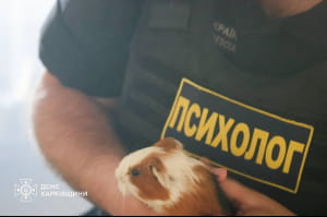 Росіяни атакували зоопарк у Харкові 