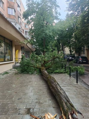 Наслідки негоди 