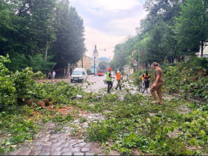 Наслідки негоди 