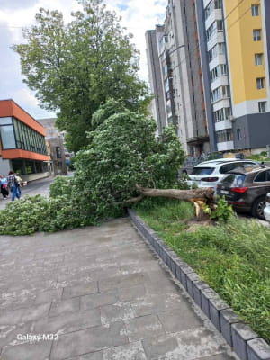 Наслідки негоди 