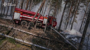 Пожежі у Чорнобильській зоні 