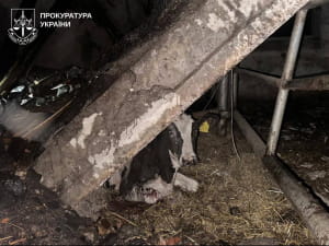 Наслідки обстрілу