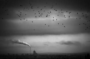 iPhone Photography Awards