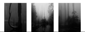 iPhone Photography Awards