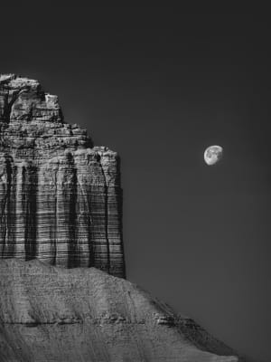 iPhone Photography Awards