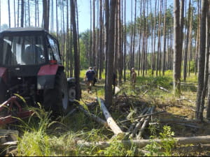 Пожежі у Чпрнобильській зоні. Фото ЧРЕБЗ, ДСП "Північна Пуща"