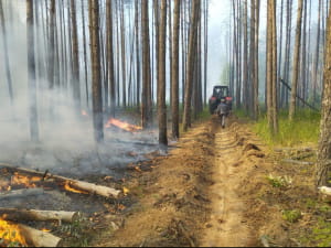 Пожежі у Чпрнобильській зоні. Фото ЧРЕБЗ, ДСП "Північна Пуща"