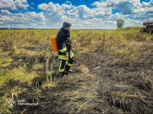 На Харківщині ворог б'є по пшеничних полях 