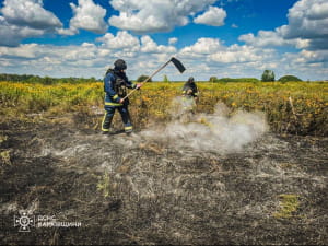 На Харківщині ворог б'є по пшеничних полях 