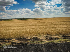 На Харківщині ворог б'є по пшеничних полях 