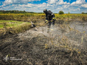 На Харківщині ворог б'є по пшеничних полях 