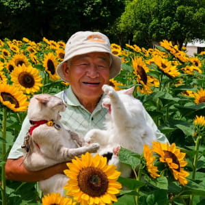 Дідусь з котами