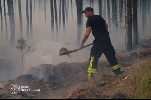 Масштабна лісова пожежа на Черкащині