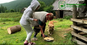 Життя у Карпатах