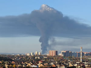 "Бавовна"