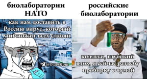 Реакція на спалах чуми на рф